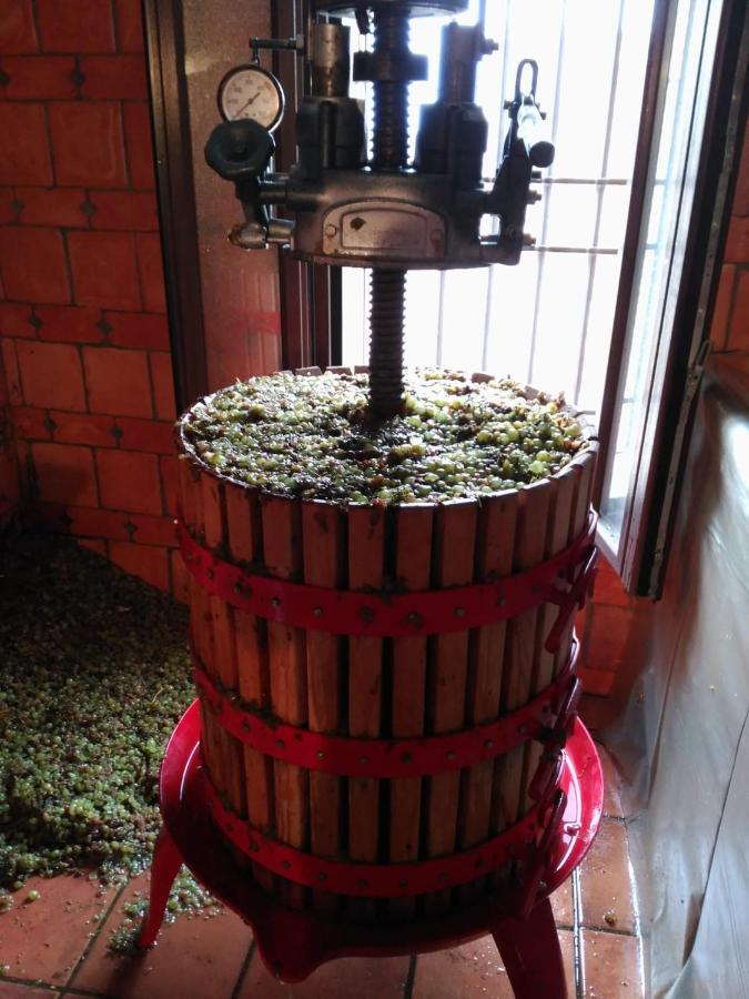 Casa Rural La Bodega, Ofrece Cata De Vino Gratis Орче Экстерьер фото