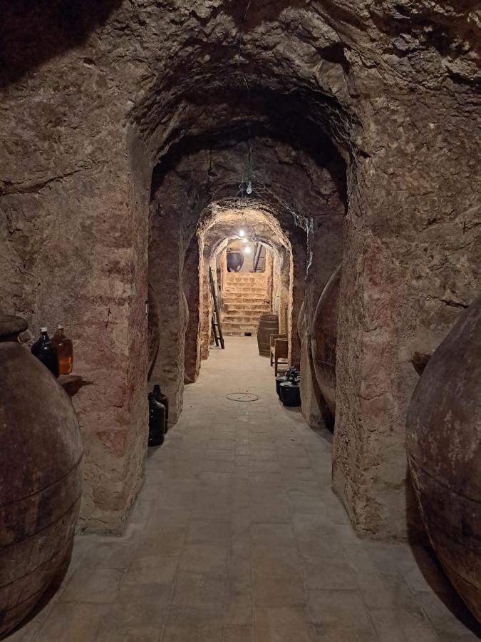 Casa Rural La Bodega, Ofrece Cata De Vino Gratis Орче Экстерьер фото