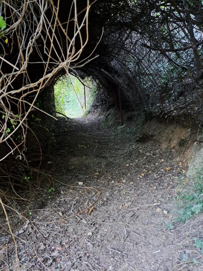 Casa Rural La Bodega, Ofrece Cata De Vino Gratis Орче Экстерьер фото