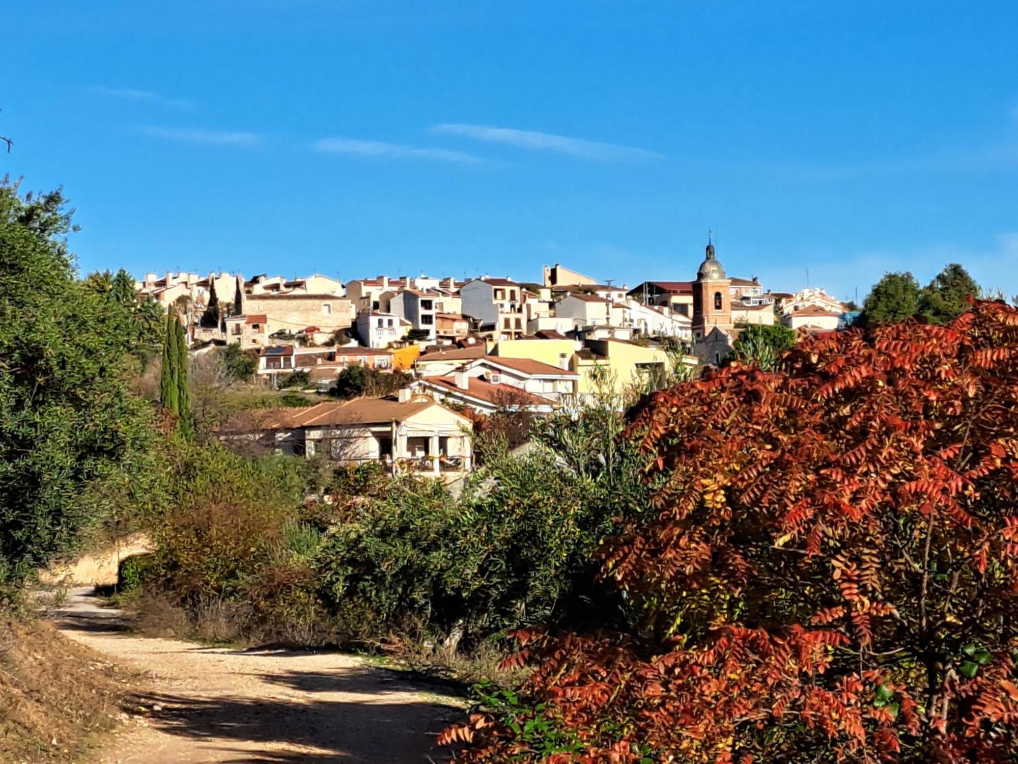 Casa Rural La Bodega, Ofrece Cata De Vino Gratis Орче Экстерьер фото
